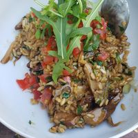 Forgot at VegANGELov  in Belgrade