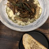   at VegANGELov  in Belgrade