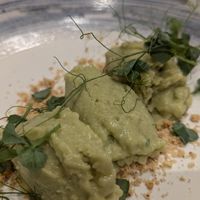  at VegANGELov  in Belgrade