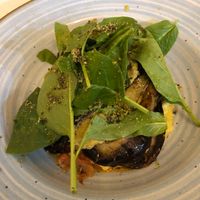  at VegANGELov  in Belgrade