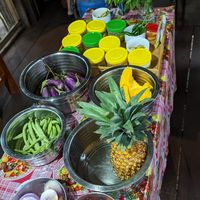  at Priya's Cooking School in Ella