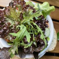   at Fischlabor in Stuttgart