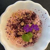 Blackcurrant posset  at Jolie Lounge & Café in Aekaeslompolo