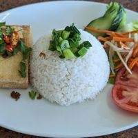 15. Rice w/ deep fried lemongrass seasoned tofu at Thuong An lac in Honolulu