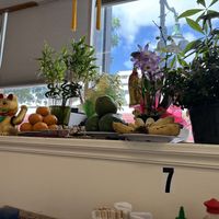   at Thuong An lac in Honolulu