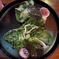 Caesar Salad   at Alux Restaurante in Playa Del Carmen