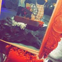  at Alux Restaurante in Playa Del Carmen