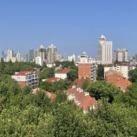   at LN Fortunate Coffee in Shanghai