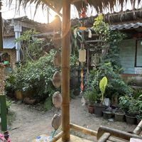   at JaJa's Restaurant Thai Vegan in Koh Phangan