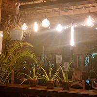  at El Saloon in Gran Canaria