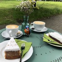   at Paniflora in Witten