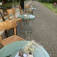   at Paniflora in Witten