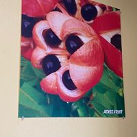 Delicious in the combo  #Veganuary at Reggae Pot in Los Gatos