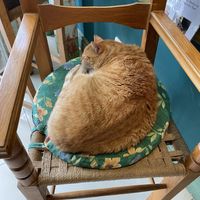   at Coffee Circus Joy in Marsalforn