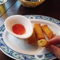 Spring rolls at Asia Bistro in Munich
