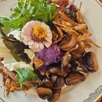  at Formidable Pelikan in St Gallen