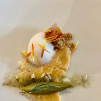  at Formidable Pelikan in St Gallen