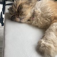   at At Twentytwo in Phuket