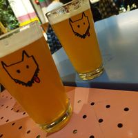  at Wolf Sharing Food Market in Brussels