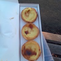 Vegan nata  #Veganuary at Cafe De Nata in North West London