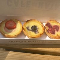   at Cafe De Nata in North West London