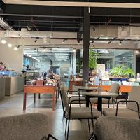 Vegan Chocolate and dates covered with chocolate   at Mirzam Chocolate Makers in Dubai