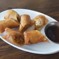 Deep fried spring rolls at Tuk Tuk in Playa Del Carmen