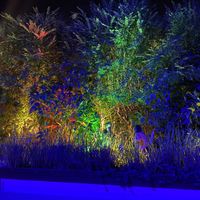 Hermoso el lugar 😍 #Veganuary at Verde Bistro in Tandil