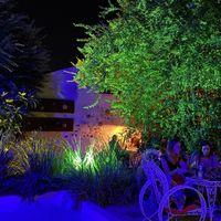 Hermoso el lugar 😍 #Veganuary at Verde Bistro in Tandil