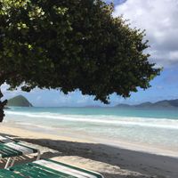 Apple Bay    at Sebastian's on the Beach in Tortola