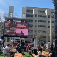 Live music most nights and dog friendly  at Market On Main in Columbia