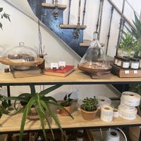Inside and cake of the day  at Sèves in Nancy