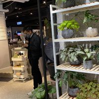  #Veganuary at From Seed To Wish in Kowloon