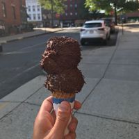 no moo at Herrell's Ice Cream in Northampton