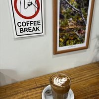   at Guana Coffee in Punta Arenas