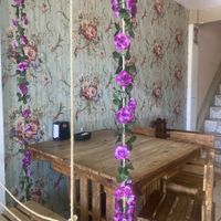   at Dolce Aroma in Monteverde