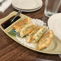 Veggie Dumplings (pan fried)  at Urban Vegan - Lake View in Chicago