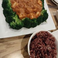 rama delight & purple rice at Urban Vegan - Lake View in Chicago