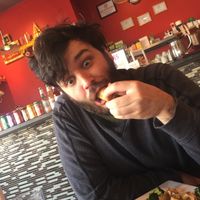 Spring roll make my brain explode at Urban Vegan - Lake View in Chicago