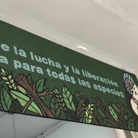 sign in restaurant   at Violeta Dulceria Vegana in Valparaiso