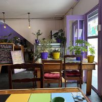   at Violeta Dulceria Vegana in Valparaiso