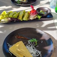 Gyozas with complimentary tofu at ARROI Restaurant in Bled