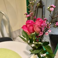 table  at Naturell in Gottingen