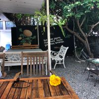 Beautiful garden setting  at Veggie Tales x Wagging Tales Cafe in Hua Hin