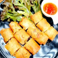 Spring Rolls at Veggie Tales x Wagging Tales Cafe in Hua Hin