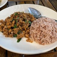 Stir-fried plant-based meat with basil leaves and steamed rice, 120 baht  at Veggie Tales x Wagging Tales Cafe in Hua Hin