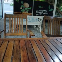 Shaded garden at Veggie Tales x Wagging Tales Cafe in Hua Hin