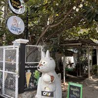   at Veggie Tales x Wagging Tales Cafe in Hua Hin