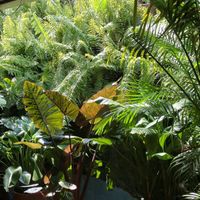 Hermoso lugar para visitar  at El Huerto in Barranquilla