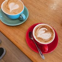  at Laughing Dog in Worthing